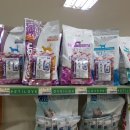 홈플러스서대전점(아이러브펫) 이미지