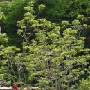 동녘농장 이미지