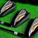 요넥스골프스튜디오 - 송파구 송이로14길 11 | 요넥스 아이언 로얄 이존 06 헤드 , NS PRO 750 R 초경량 스틸 샤프트 / 골프클럽 비거리용 아이언...
