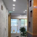 뉴그린 수영장 | 월평동 수영강습 뉴그린 수영장 후기