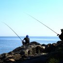 연포펜션 이미지