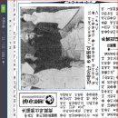 Jws emigrate to Sunni Arab and South K 이미지