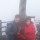 한라산 등반 -동탄 신미주 산사랑- 이미지