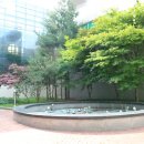 달서구노인종합복지관 별관 이미지