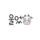 바늘과실사