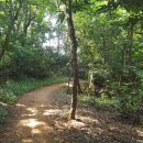 현무체육공원 이미지