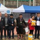 제주애견학교 이미지