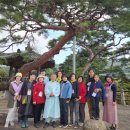 소백산명품마을협동조합 이미지