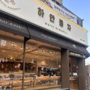 별과풍차 | 수원의 성심당, 하얀풍차의 두쫀쿠 구매 후기와 꿀팁 “하얀풍차제과점 망포역점”