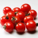 토마토 이미지