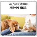 모아테코 | 필터없는 무소음 공기청정기 추천, 테코야 450 스펙 유지비 제로인 진짜 이유와 단점 리뷰