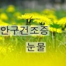 &lt;5월 20일 에서 5월 25 일 &gt; 원인치료,증상치료,안구건조증과 눈물,어지러움과 빈혈,오트리빈, 혈관관리 이미지