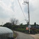 아초원 - 안산시 상록구 비늘치길 49 | 안산 맛집, 월남쌈 무한리필 아초원 내돈내산 후기