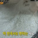 한성면옥 - 완도군 개포로 40-5 | 한성면옥