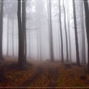 서부여객 | 인천공항 제1여객터미널 주차대행 실내주차장 예약 후기 및 이용 꿀팁