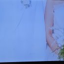 나는 솔로29기 결혼 커플 이미지