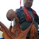 나라3호 이미지