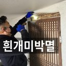 해남방역환경 | 광주방역업체 화순 해남 강진 영광 장성 전문흰개미박멸퇴치