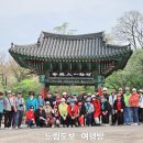 강진-25 이미지
