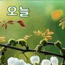 소중한오늘 이미지