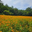 병방산군립공원 이미지