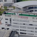 김치타운 이미지