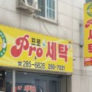 프로세탁소 이미지