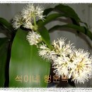 석이네집 이미지