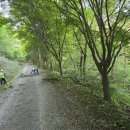 물무산행복숲둘레길 이미지