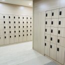 악어 스크린 골프 이미지