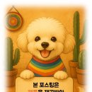 트릿미