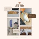 이쁘냥 대전점) 솔직 생생 방문 후기💕