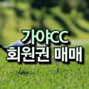 가야CC골프아카데미 제니스 네이버블로그