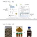 (주)오디글로벌 네이버블로그