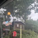 WR(부산광역시 금정구)-[체육공원로]-하-15 | 부산캠핑장추천 몸만가는 바베큐장 늘 푸른숲 : 강아쥐도 있어욤+불멍까지