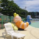 보령머드축제 반려견머드존 멍드존! 다녀온 후기 위치,입장료, 정보
