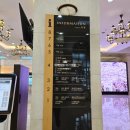 소노벨 타워 A.B 제주 이미지