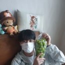 옥희농장 이미지