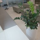 김선귀이비인후과의원 이미지