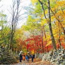 대기리마을 이미지