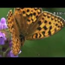 지금이 시즌 27,000 메타 등산 하는 북알프스 여행 이미지