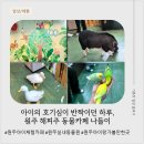 해피주 동물카페 원주점 | 원주실내동물원 뱀까지 만져본 특별한 하루! 해피주 동물카페 원주점 솔직후기