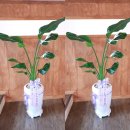 교방동140 이미지