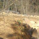 숲속 게르 하우스 이미지