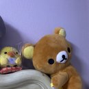 (주)코뉴 이미지