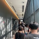 세잔느 | 르누아르 x 세잔느 전시 관람 후기, 도쿄 미쓰비시 1호관 미술관 여행 추천[일본 여행]