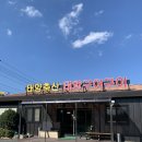 태양구이구이 | 울산 언양 맛집 [태양구이구이] 육회비빔밥 솔직후기