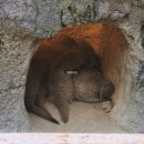 아산바른약국 | 빛이 짧아지는 계절에 11월의 기록 #1