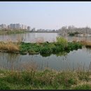 서호공원 이미지