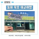 재비한끼 | 동해 묵호로 2박 3일 뚜벅이 태교여행
